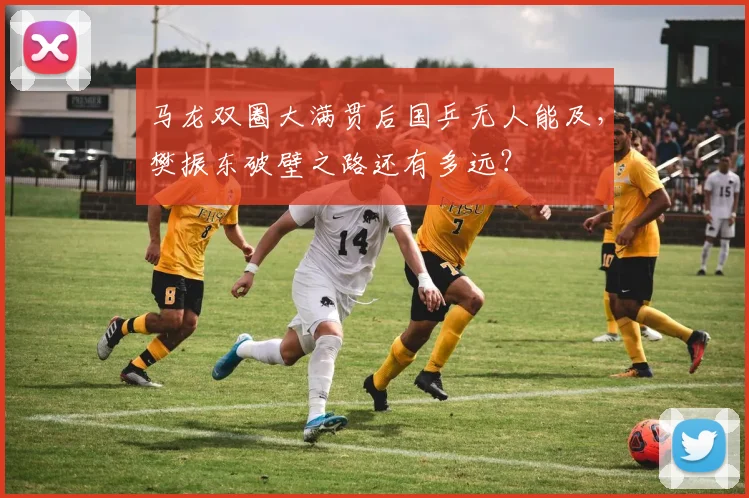 马龙双圈大满贯后国乒无人能及，樊振东破壁之路还有多远？